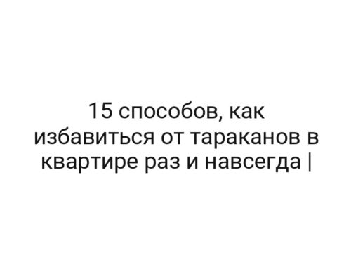 15 способов, как избавиться от тараканов в квартире раз и навсегда |