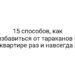 15 способов, как избавиться от тараканов в квартире раз и навсегда |