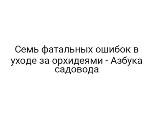 Семь фатальных ошибок в уходе за орхидеями — Азбука садовода