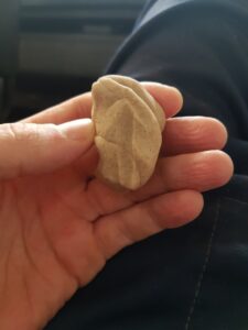 Розы из хлеба — 26.12.16 19: 04 | Пикабу