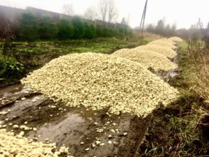 Отсыпка щебнем грунтовой дороги